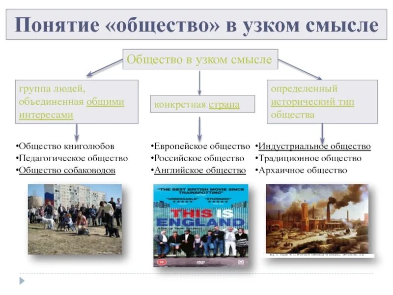 Направления связанные с обществом. Понятие общества. Общество в узком смысле. Общество в узком смысле общество. Общество в узком смысле Обществознание.