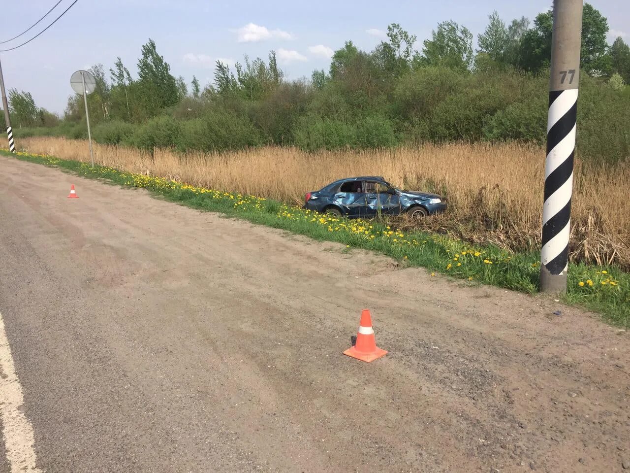 чечулино новгородская область. парктроник в валдаи новгородской области. деревня чечулино. великий новгород деревня чечулино. чечулино.
