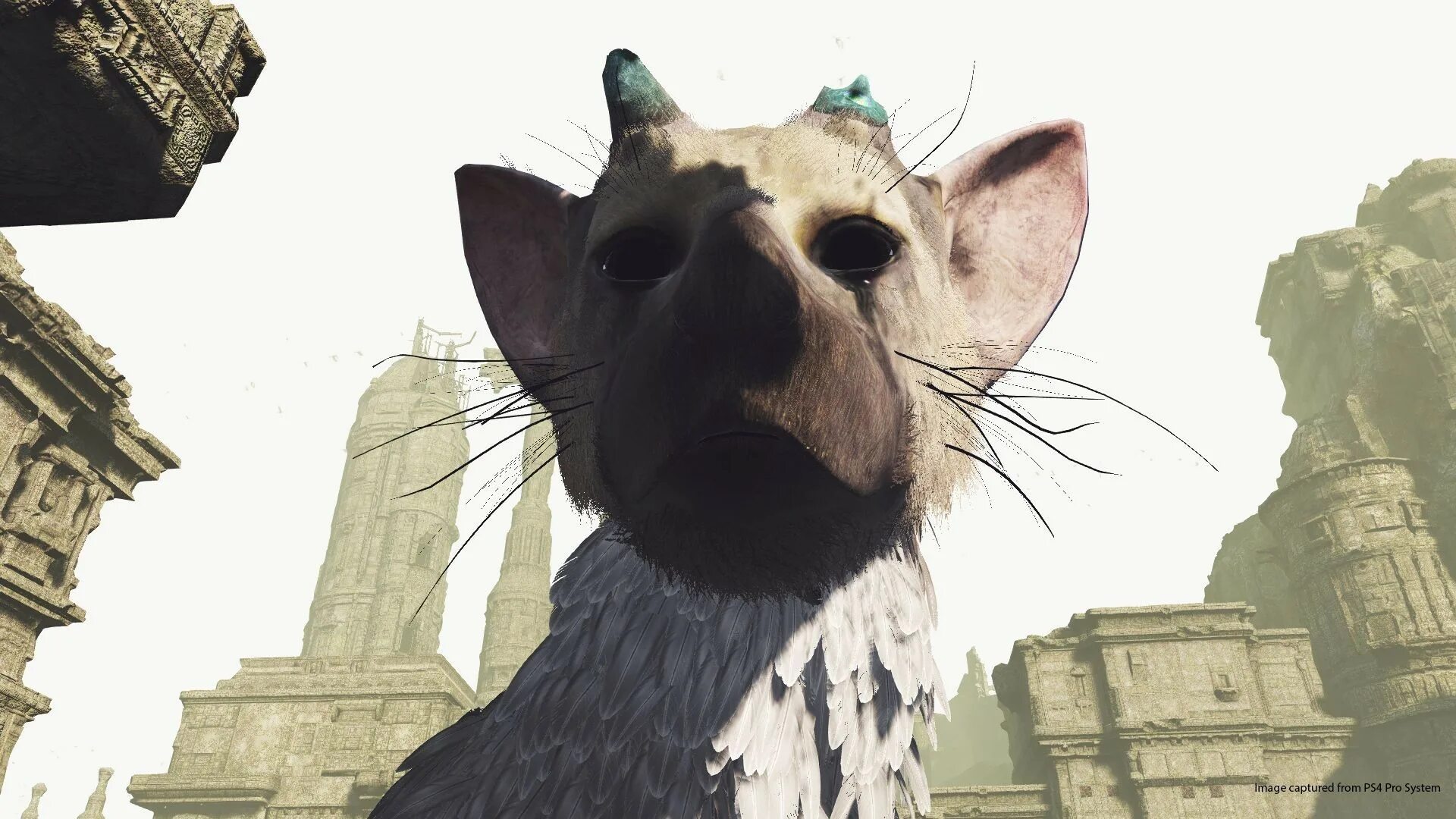 Ласт гардиан. The last Guardian. The last Guardian VR. Последний хранитель игра VR. The last Guardian арты.