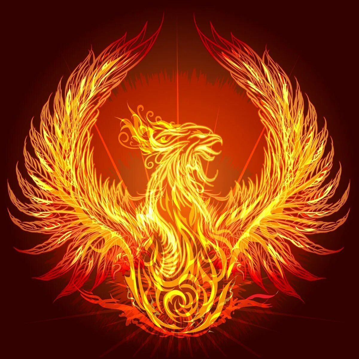 Феникс phoenix. Сокол Феникс Рарог. Огненная птица Рарог. Огненный Сокол Рарог символ. Огненная птица славян Рарог.