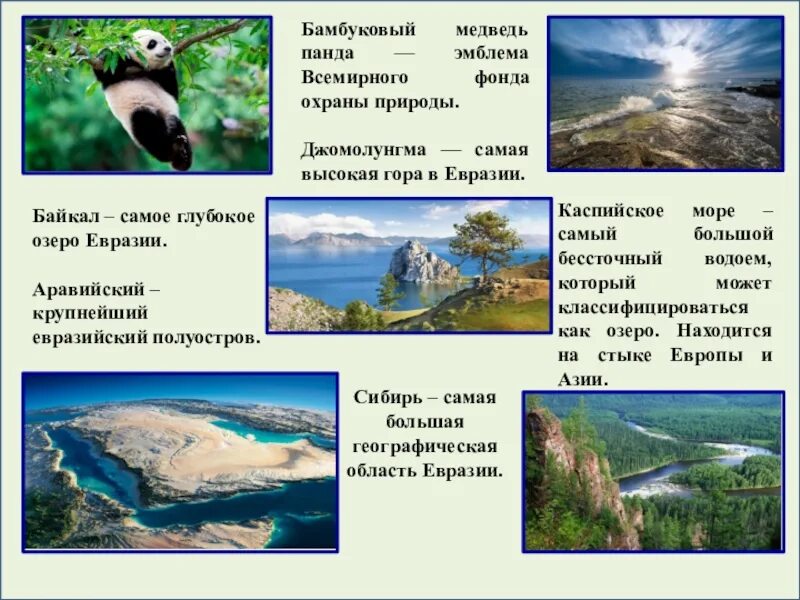 Евразия 4 класс окружающий мир. Факты о Евразии. Интересные факты о Евразии. Интересные факты о природе Евразии. Интересные факты о материке Евразия.
