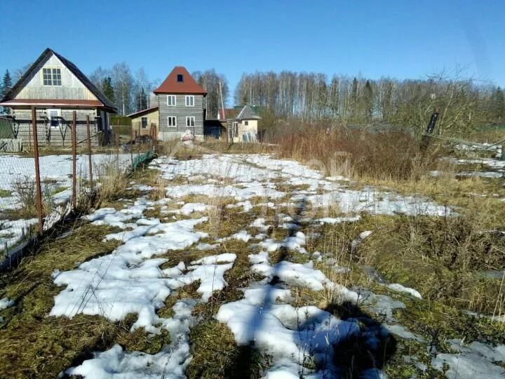 Погода гатчинского. Поселок новый Учхоз Гатчинского района. Ленинградская область Гатчинский район Учхоз. Ленинградская область нов Учхоз. Лен обл пос новый Учхоз.