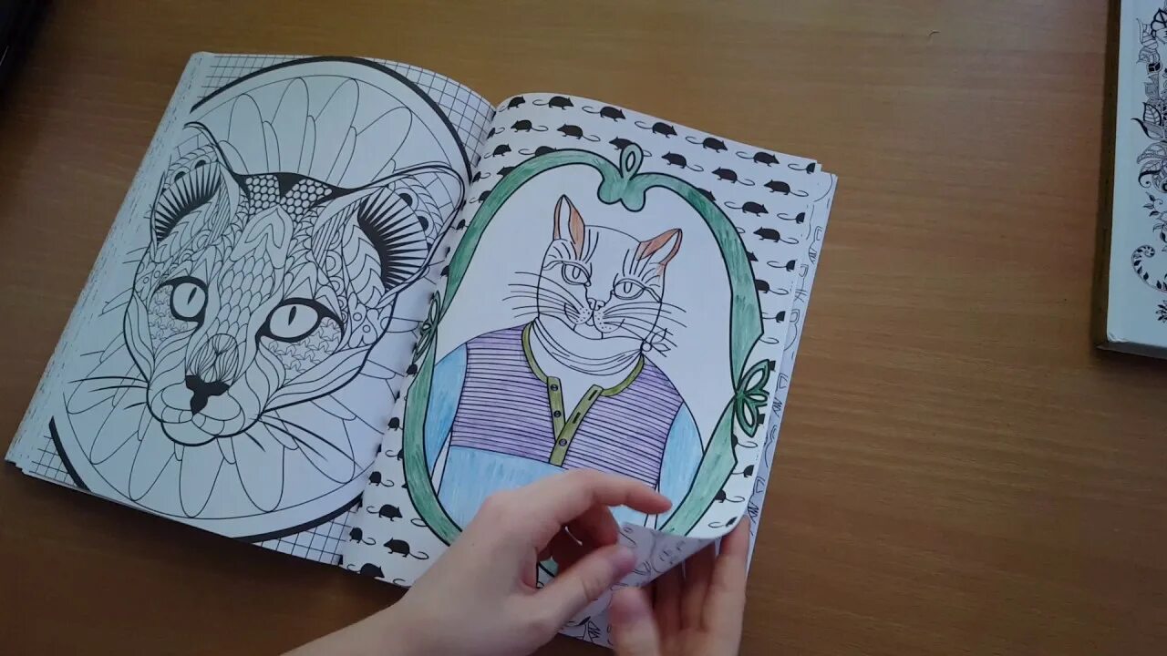 Раскраска антистресс. Котик антистресс раскрашенная в цвете. Антистресс ютуб. Раскраски красивые надписи. Раскраски надписи.