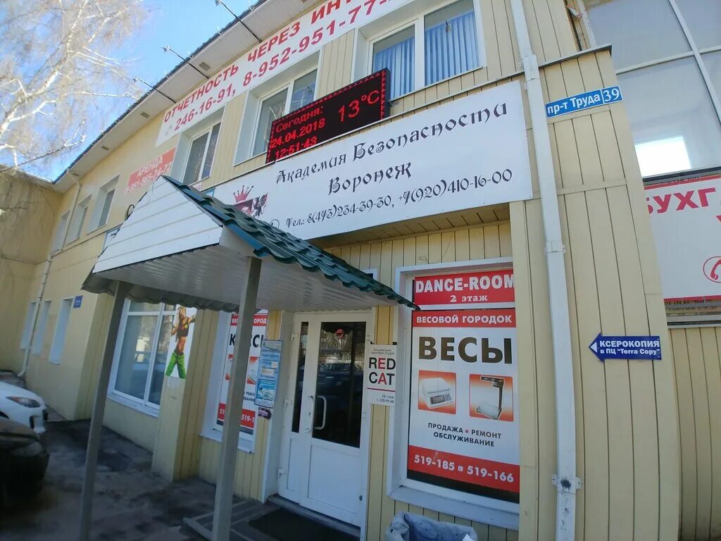 Воронеж проспект труда 39 кот. 39. Проспект труда 39 воронеж театр. Проспект труда 39. Воронеж проспект труда 39 кот.