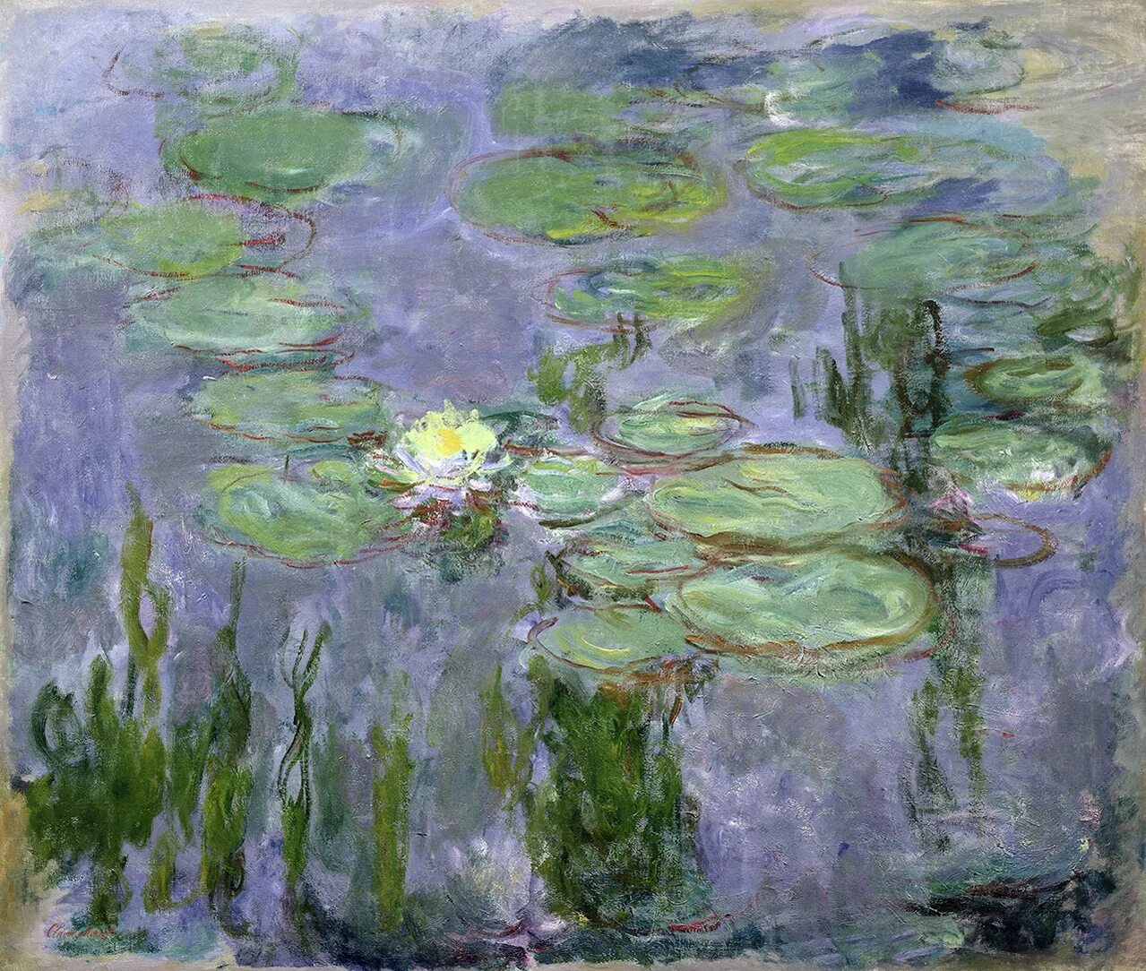 Сорт моне. Клод моне кувшинки. клод моне белые кувшинки 1899. клод моне нимфеи. моне кувшинки 1915.