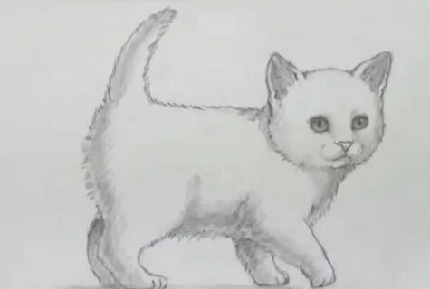 Как нарисовать кутят