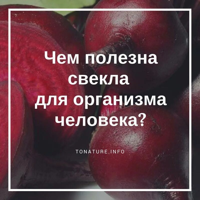 Вареная свекла польза для мужчин. Чем полезна свекла. Чем полезна свекла для организма. Чем полезна свекла для человека. Свекла полезная для организма.