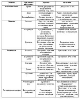 Таблица название анализатора строение функции