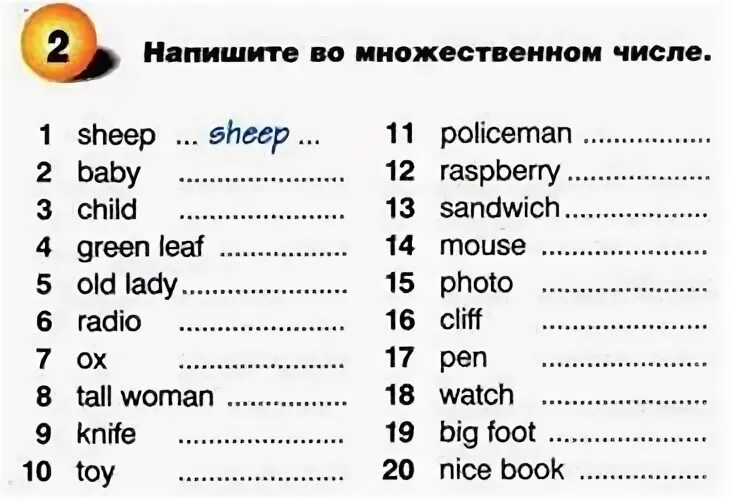 Множественное число слова radio. Sheep множественное число. Policeman во множественном числе на английском. Sheep множественное число в английском языке. Policeman множественное число.