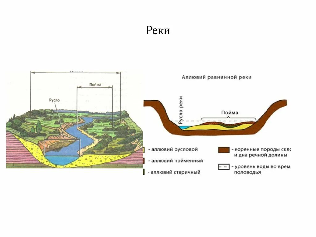 Ширина русла рек. Русло реки Пойма Речная Долина. Строение Речной Поймы схема. Схема реки Пойма русло. Строение Поймы реки схема.