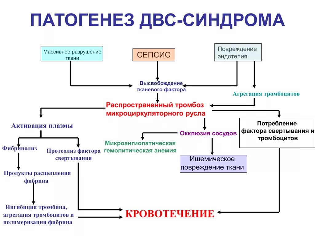 Механизм развития 1 стадии ДВС синдрома. ДВС синдром механизм развития патофизиологии. Патогенез диссеминированного внутрисосудистого свертывания крови. Патогенез развития ДВС синдрома при сепсисе. Образование тромба попадание факторов свертывания в плазме