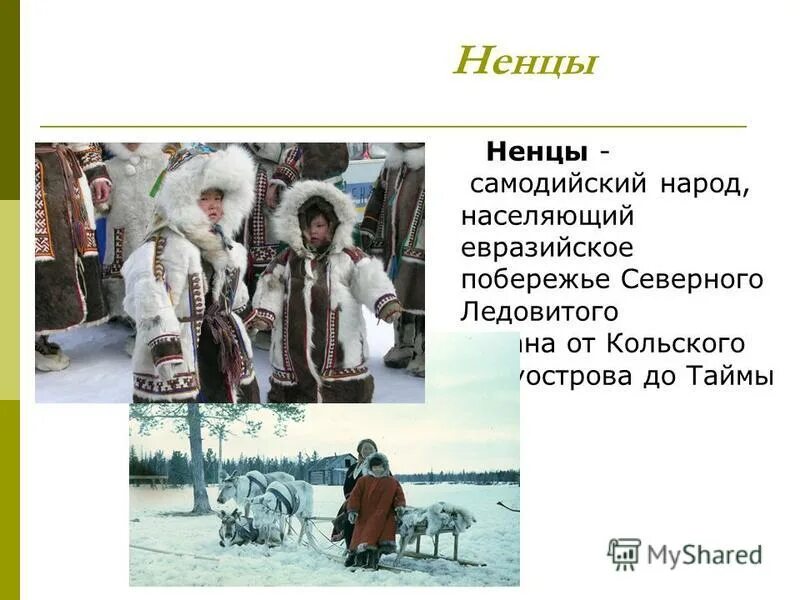 Ненцы кратко