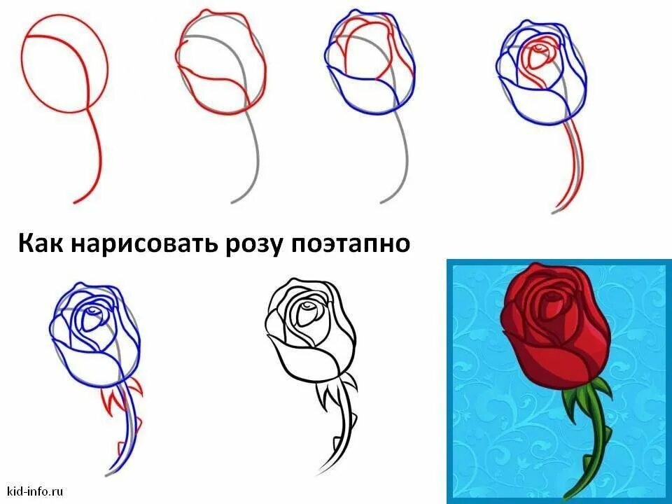 Картинки пошагово для начинающих. Как нарисовать розу поэтапно. Роза рисунок пошагово. Как нарисовать козу поэтапно. Как нарисовать рожь поэтапно.