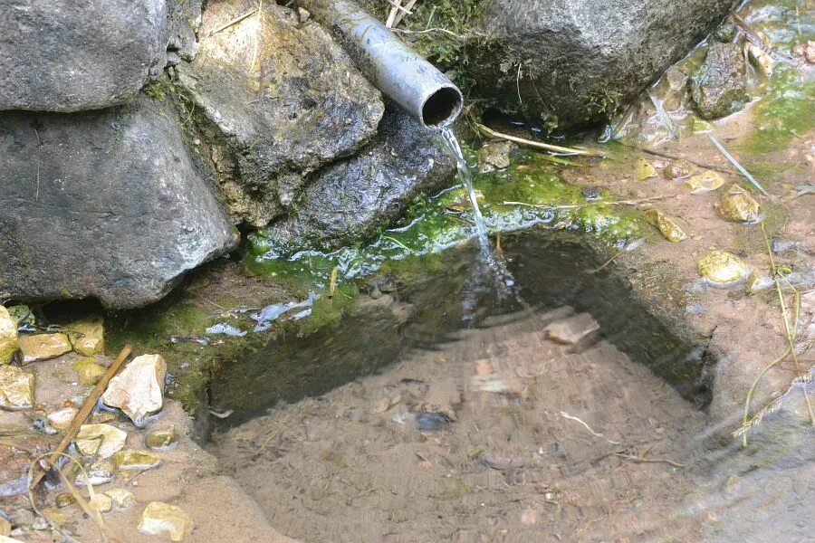 Род родник. Родники с ключевой водой Сибирь. Ключевая вода на Столбах. Как облагородить Родник. Родники Шамшадин.