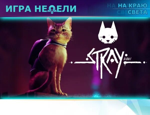 Котик из игры. Рыжий кот из игры Stray. Игра с котами Stray. Игра про кота в стиме. Игра кот стим