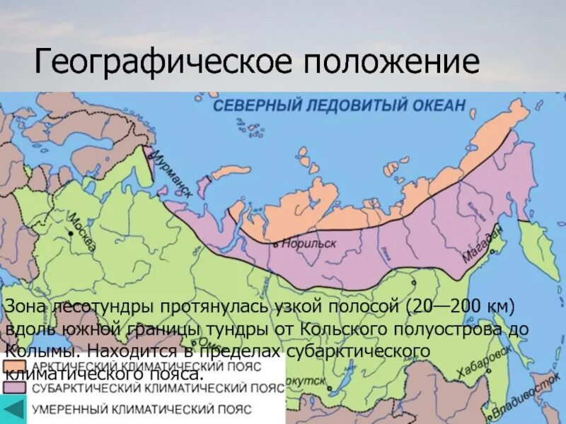 Географическое положение зоны тундры в России. Географическое положение лесотундры в России на карте. Географическое положение тундры в России карта. Лесотундра географическое положение.