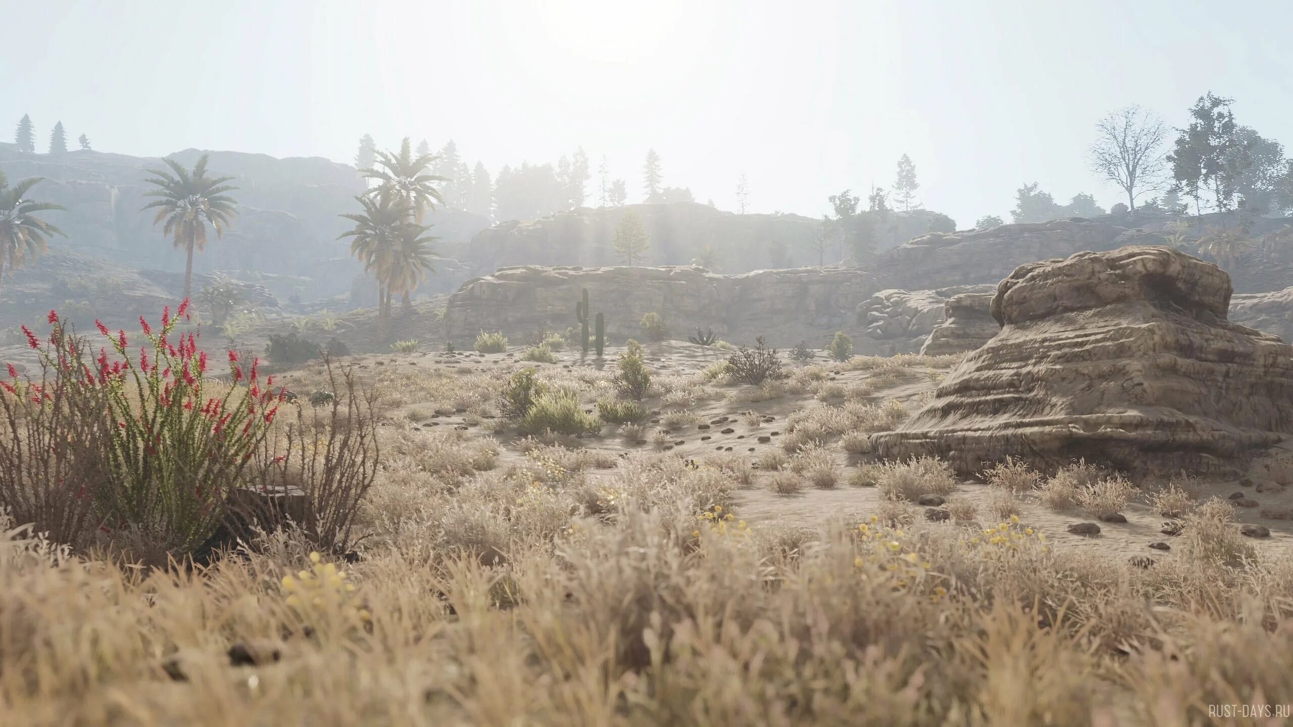 Rust 2025. 217 девблог раст. rust игра 2025. rust новая графика 2025. 248 девблог раст.