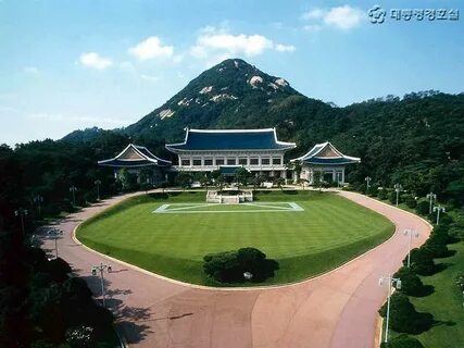 Korea blue