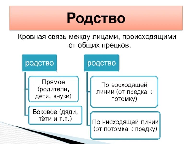 Родственная связь слов. Кровное родство. Степени кровного родства. Прямое родство. Кровные связи.