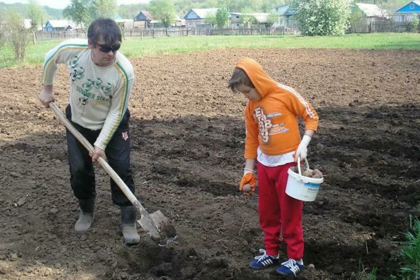 Весенние работы на селе старшая группа. Сажать картошку. Труд в огороде. Весенняя посевная в огороде. Посадка картофеля.