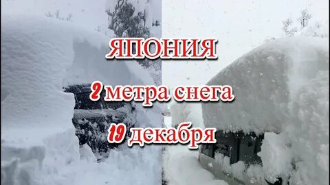Метр снега