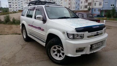 Дром борзя