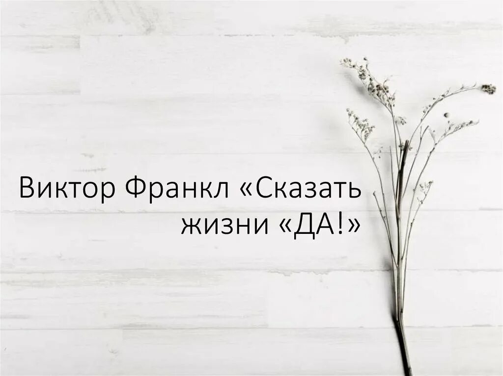 Скажи жизни да краткое. Сказать жизни да.