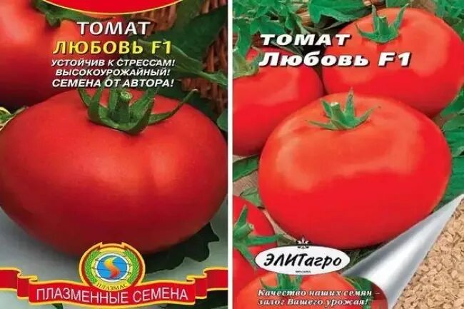 Сорт томатов любовь. Томат любовь земная f1. томат моя любовь f1. томат любовь земная характеристика и описание.