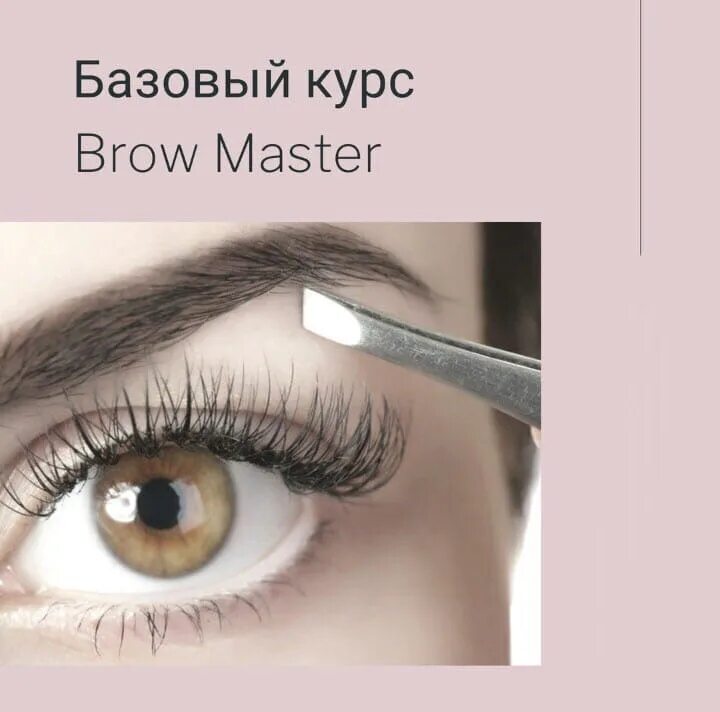 Брови курсы. Бровист с нуля. Курс мастер бровист. Курсы по бровям. Мастер бровист.