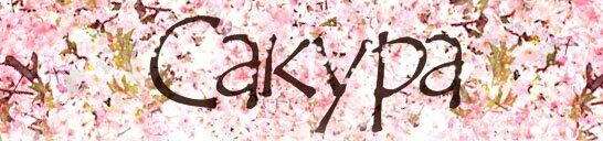 сакура новгород. цветет ли сакура в россии. сакура доставка суши нижний новгород. сакура новгород. в калининграде зацвела сакура.