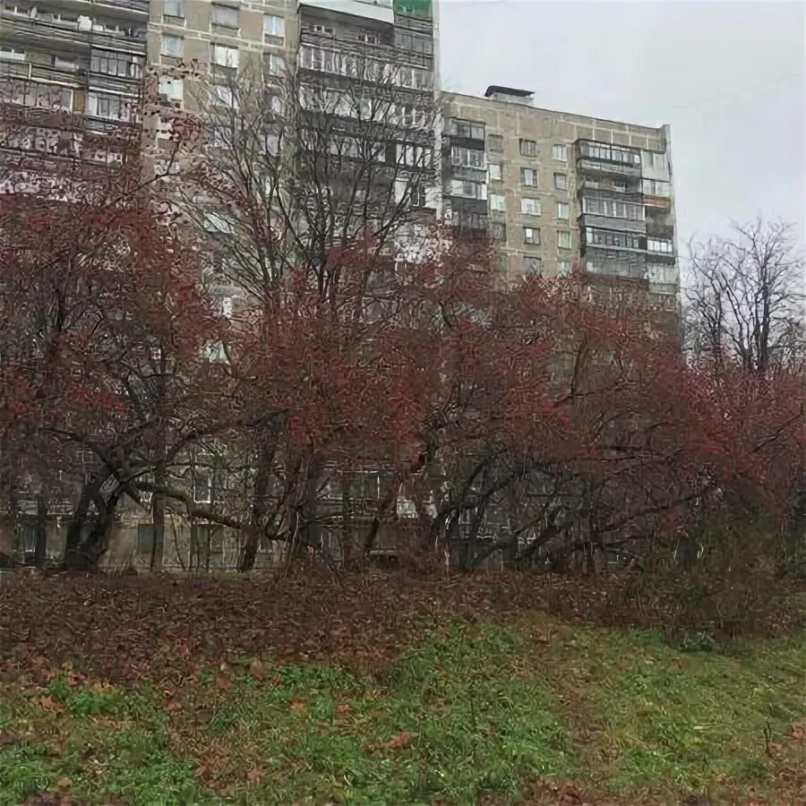 Победа вешняковская ул 24 корп 1 фото Доля в квартира-студии, 14,1 м², 2/14 эт. на продажу в Москве Купить квартиру Ав