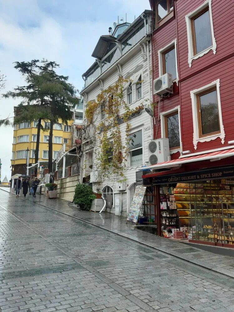 Султанахмет отзывы. Стамбул глазами туристов. Стамбул глазами местных жителей. Улицы Стамбула 2022 года. Чукурово в Стамбуле.