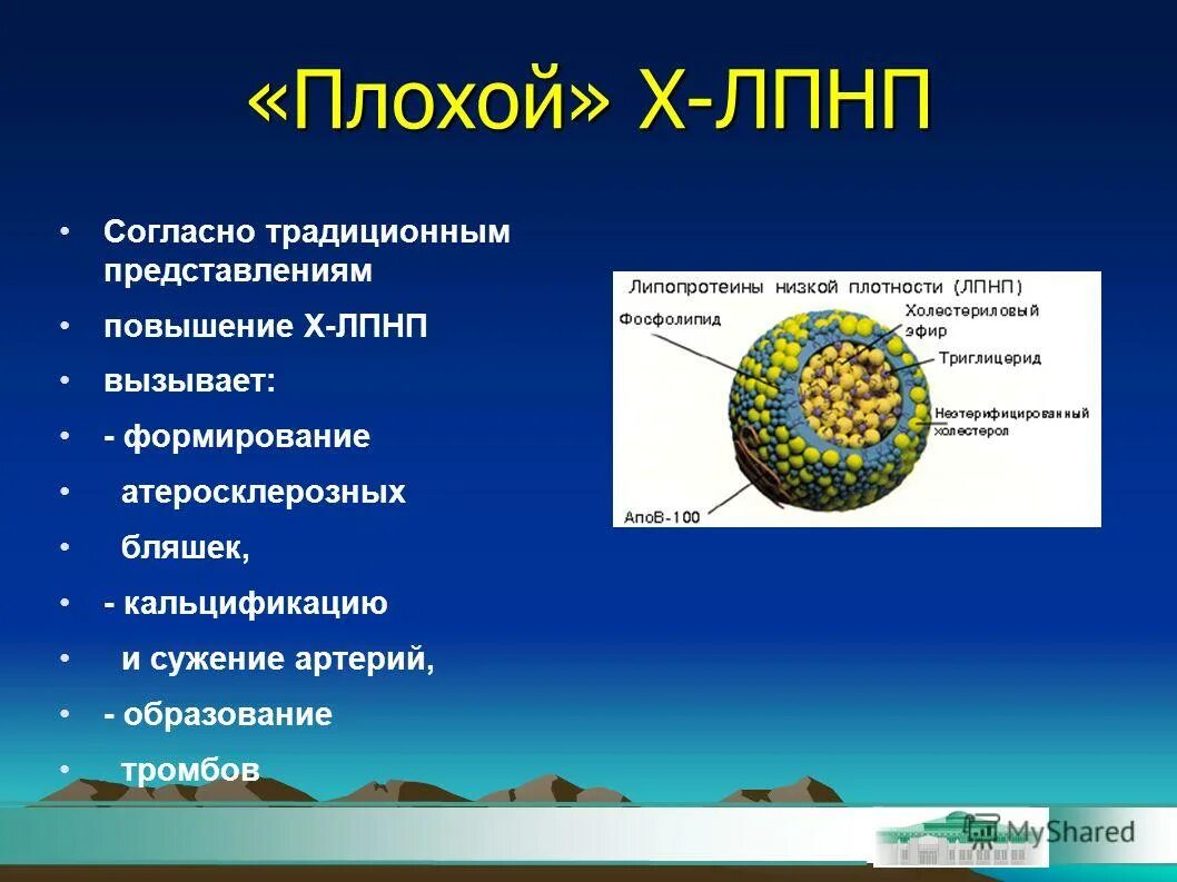 Холестерин низкой плотности 4. Холестерин низкой плотности 4