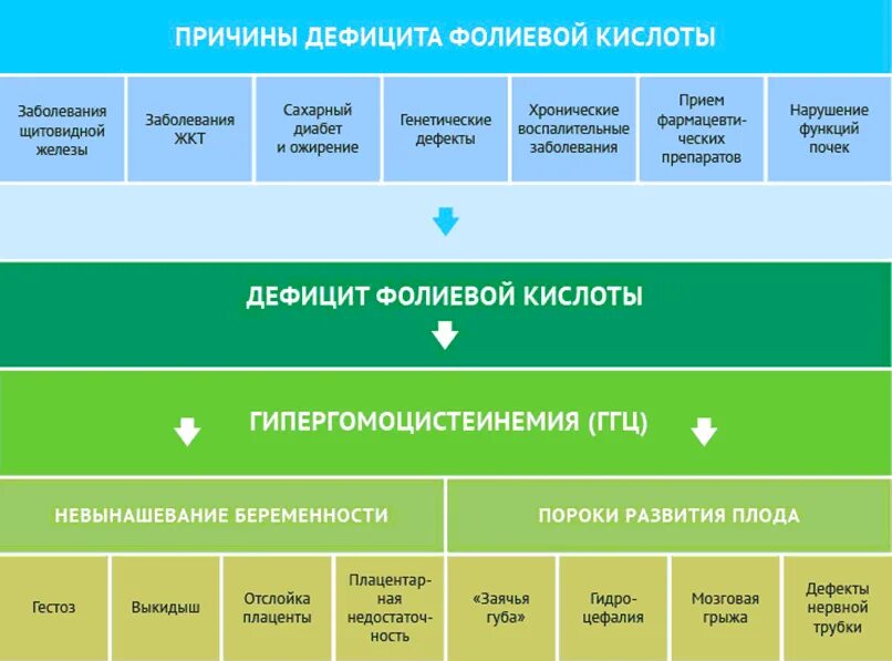 Дефицит фолиевой кислоты. Показатель дефицита фолиевой кислоты. Причины недостатка фолиевой кислоты. Недостаток фолиевой кислоты у женщин.