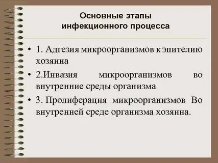 Этапы развития инфекции