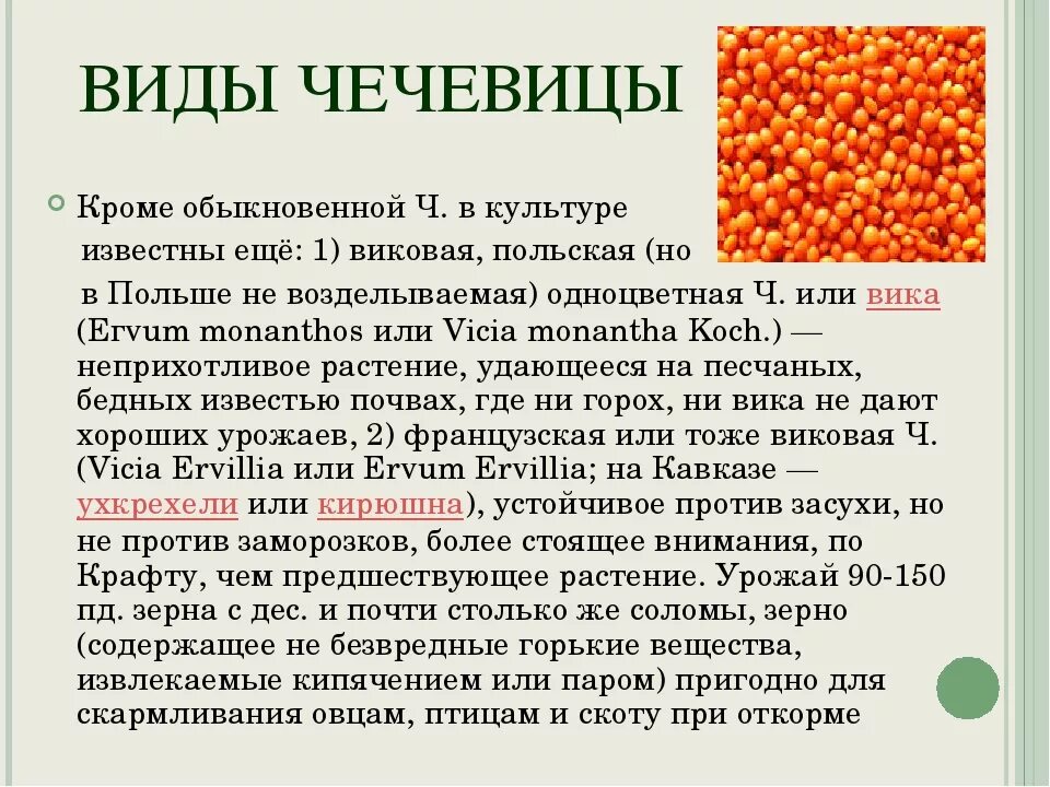 С какого возраста можно давать чечевицу. Чечевица белки. Злаковые и бобовые культуры. С какого возраста можно давать чечевицу. С какого возраста можно давать ребёнку гороховый суп.