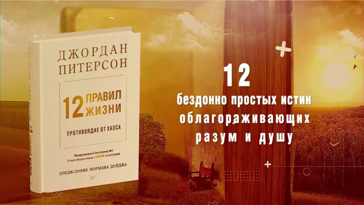 12 правил жизни джордана питерсона книга