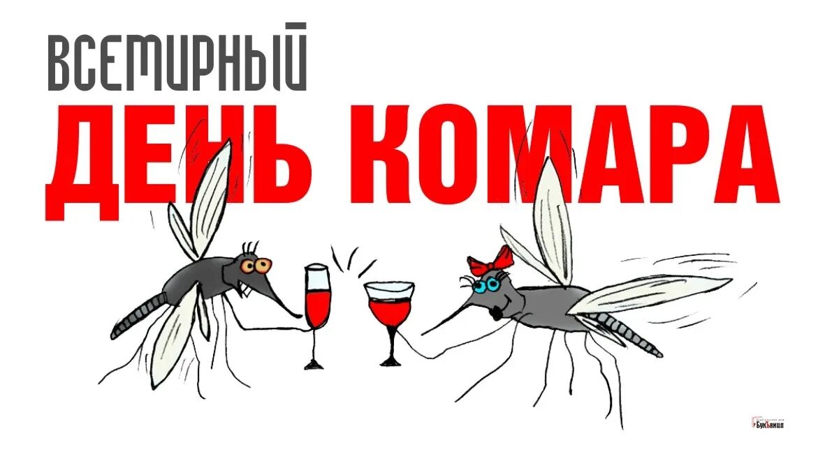 День комара. С днем комаров. «Всемирным днем комаров». Всемирный день комара. Дата 20 августа