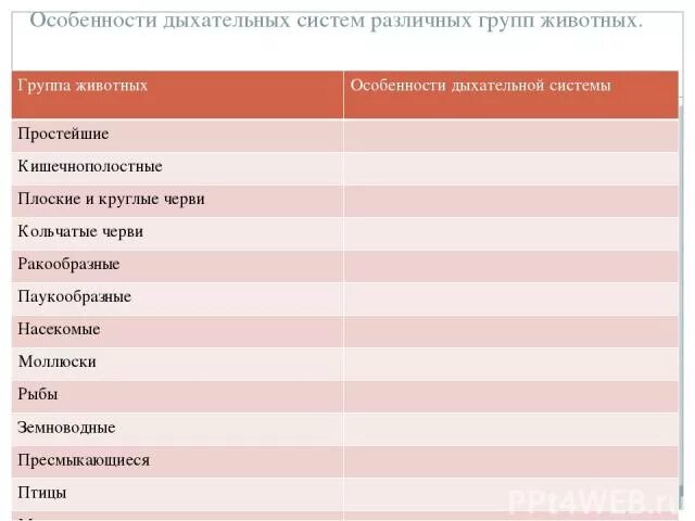 Особенности дыхания зверей. Особенности дыхательных систем различных групп животных. Особенности дыхательной системы животных таблица. Органы дыхания у разных групп животных. Группы животных особенности дыхательной системы таблица.