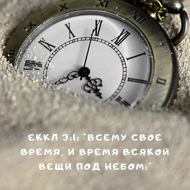 всякому свое время 4 буквы. всему свое время и срок. всему своё время библия. всему свое время книга. всякому свое время 4 буквы.