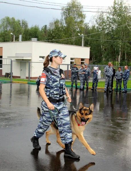 Кинолог конвоир мвд. Ппс кинология фсин. Кинолог в новгород. Центр кинологической службы мвд петрозаводск. Марков кинолог томск.