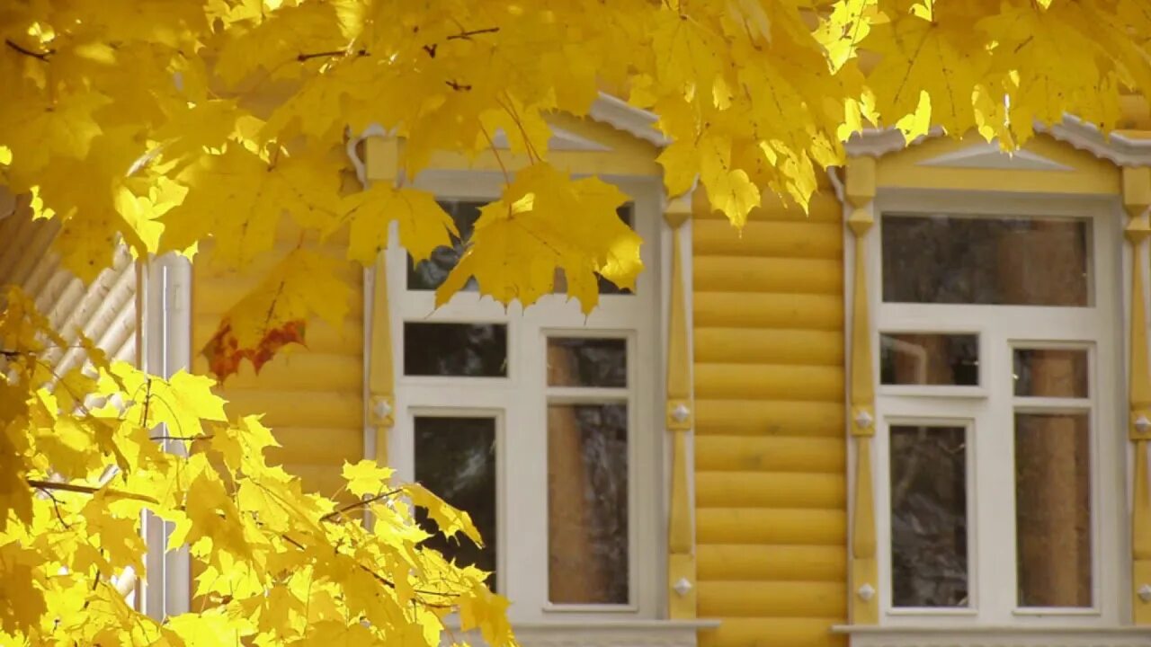 Окно осень. Желтое окно. В желтых кленах флигеля. Дом с желтыми окнами.