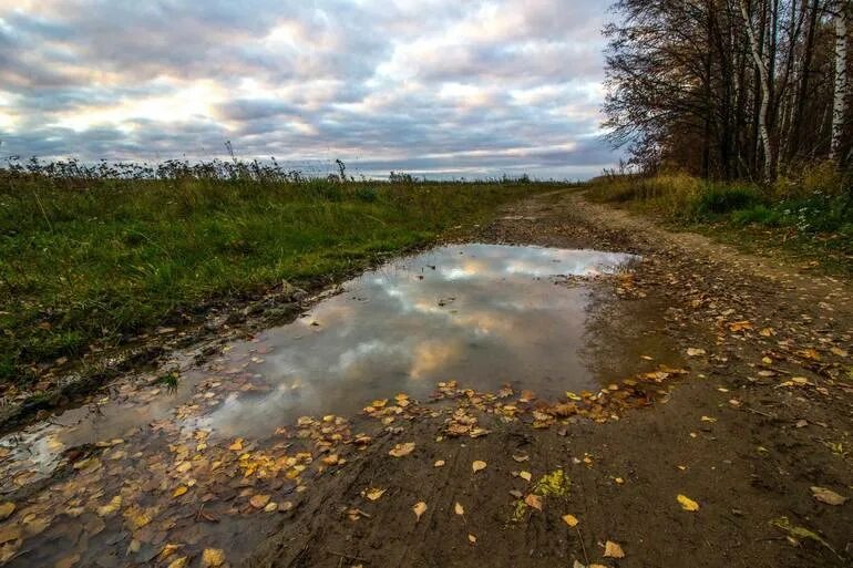Уж на дороге. Ребенок в луже. Про лужу. Лужа грязи. Лужи на тротуаре.