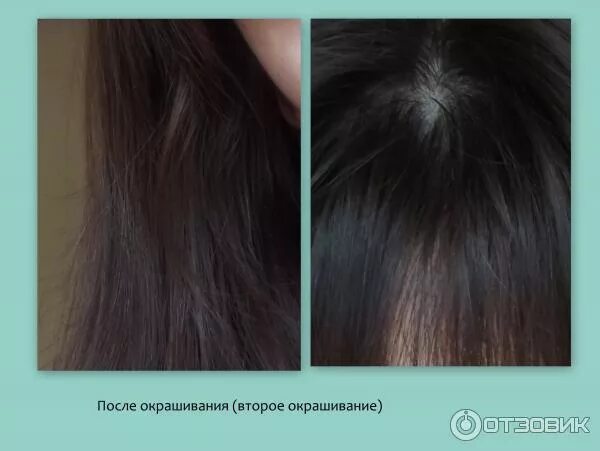 Отзыв о Басма иранская "Артколор" не вредит волосам, а делает их только лучше