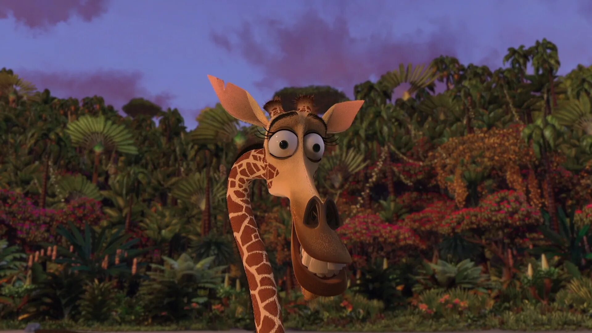 Герои мадагаскара мелман. Герои мадагаскара мелман. Герои мадагаскара мелман. Герои мадагаскара мелман. Мелман мадагаскар.