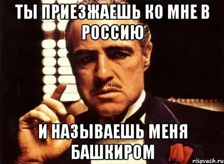Приезжай ко мне брат