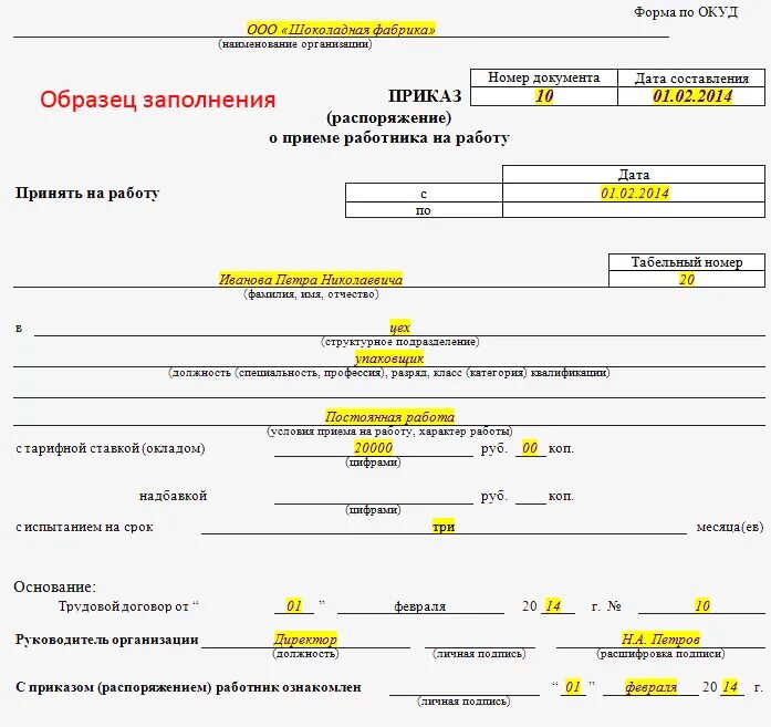 Ефс на прием образец. Пример приказа о приеме на работу форма т-1. Форма заполнения приказа о приеме на работу. Форма приказа о приеме работника на работу. Приказ о приёме на работу образец заполненный.