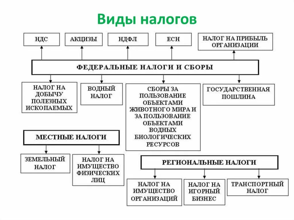 Виды налогов в РФ схема. Схему "виды налогов" с применрами. Классификация налогов и сборов в РФ таблица. Налоги РФ схема. Перечислите налоги уплачиваемые предприятием