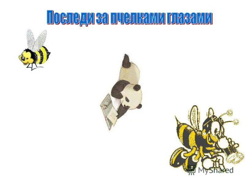 Сообщение о пчелах. Проект 9 класс пчелы. Проект 9 класс пчелы. Проект 9 класс пчелы. Интересное о пчелах.