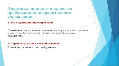 Виды адаптации осужденных
